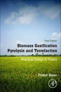 Image of biomass gasification and pyrolsis practical design
